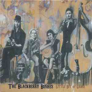 The Blackberry Bushes - Little Bit Of Grace download flac mp3