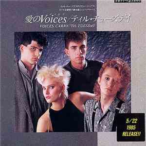 ティル・チューズデイ = 'Til Tuesday - 愛のＶｏｉｃｅｓ（ボイセズ）= Voices Carry download flac mp3