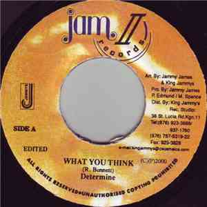 Determine - What You Think download flac mp3