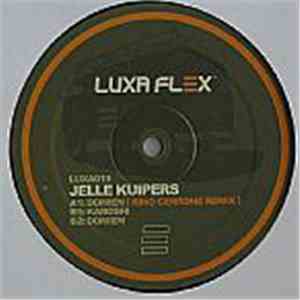 Jelle Kuipers - Domien download flac mp3