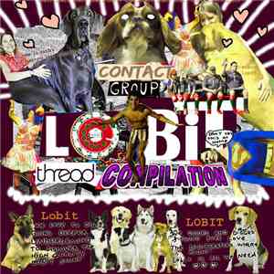 Various - Contact Group Lo-Bit Thread Compilation download flac mp3