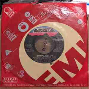 Whitney Houston - Didn'T We Almost Have It All download flac mp3