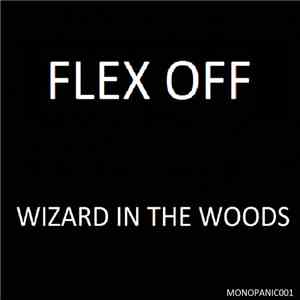Flex Off - Wizard In The Woods download flac mp3