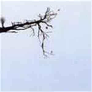Kettel / Setzer - Kettel / Setzer Split download flac mp3