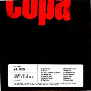 Mr Huw - Llond Lle O Hwrs A Lladron download flac mp3