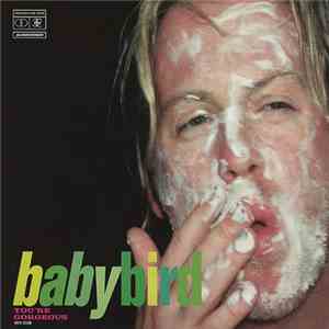 Babybird - You're Gorgeous download flac mp3