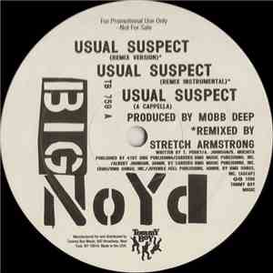 Big Noyd - Usual Suspect download flac mp3