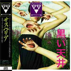 Blvck Ceiling - D V S T download flac mp3
