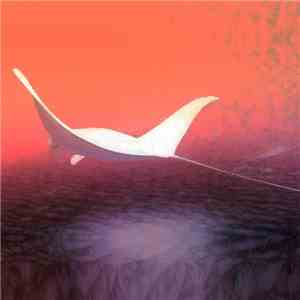 ONYXX雲 - Vision 速度 Quest download flac mp3