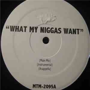 Unknown Artist - What My Niggas Want / You Wont See Me Tonight download flac mp3