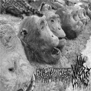 Agathocles / My War Crimes - Agathocles / My War Crimes download flac mp3