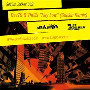 Dev79 & Thrills  - Hey Low (Sonkin Remix) download flac mp3