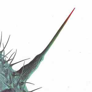 Peter Gabriel - And I'll Scratch Yours download flac mp3