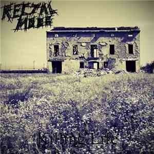 Rectal Mode - Killing Life download flac mp3