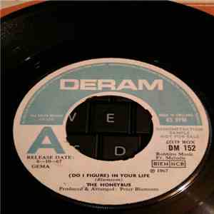 The Honeybus - (Do I Figure) In Your Life download flac mp3