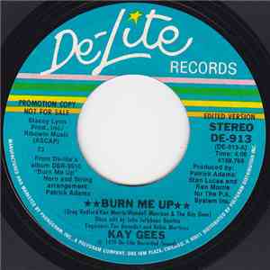 The Kay-Gees - Burn Me Up download flac mp3