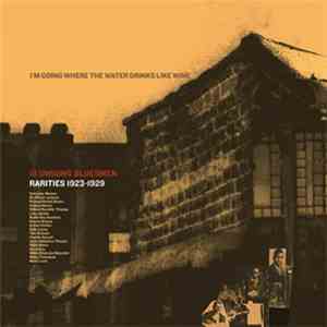 Various - I'm Going Where The Water Drinks Like Wine: 18 Unsung Bluesmen Rarities 1923-1929 download flac mp3