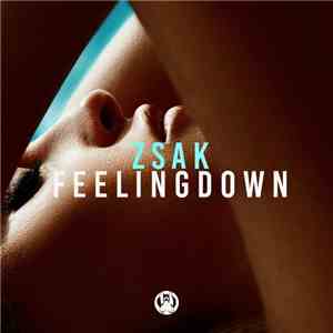 Zsak - Feeling Down download flac mp3