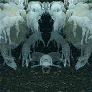 Alfio Antico - Antico download flac mp3