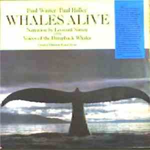 Paul Winter  / Paul Halley - Whales Alive download flac mp3