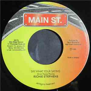 Richie Stephens - Say What You're Saying download flac mp3