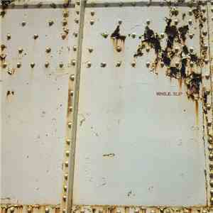 While - Slip download flac mp3