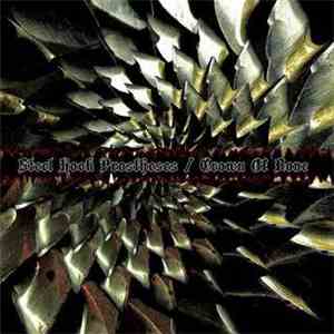 Crown Of Bone / Steel Hook Prostheses - Crown Of Bone / Steel Hook Prostheses download flac mp3