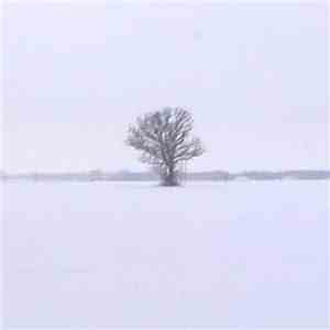 Final Seed - Final Seed download flac mp3