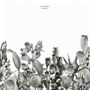 Hannes Buder - CHANGES II download flac mp3