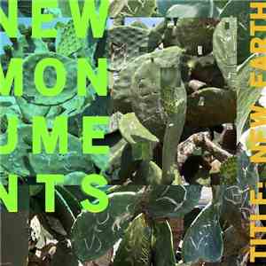 New Monuments - New Earth download flac mp3