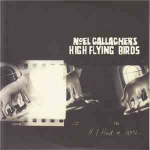 Noel Gallagher's High Flying Birds - If I Had A Gun... download flac mp3