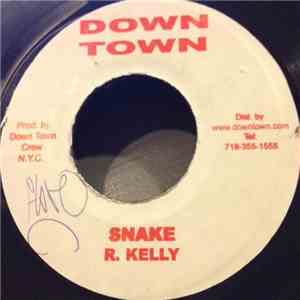 R. Kelly, Ja Rule - Snake / Been Around The World download flac mp3