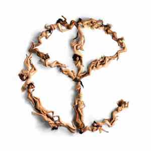Yellow Claw - Blood For Mercy download flac mp3