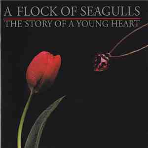 A Flock Of Seagulls - The Story Of A Young Heart download flac mp3