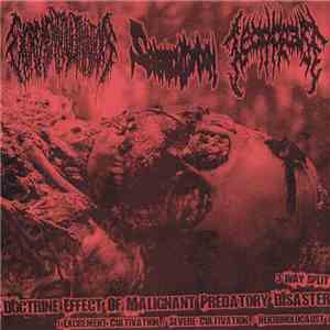 Excrement Cultivation / Severe Cultivation / Nekroholocaust  - Doctrine Effect Of Malignant Predatory Disaster download flac mp3