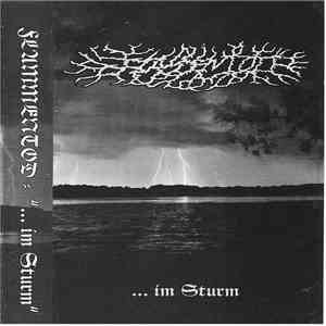 Flammentod - ...Im Sturm download flac mp3