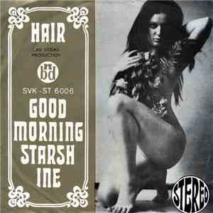 The Broadway Matadors, Su Kramer, Reddy  - Hair Good Morning Starshine download flac mp3