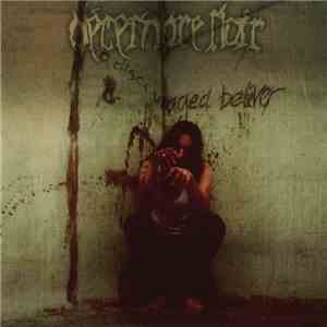 Décembre Noir - A Discouraged Believer download flac mp3