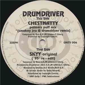 Drumdriver - Skyy / Chestnatty (Remix) download flac mp3