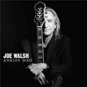 Joe Walsh - Analog Man download flac mp3
