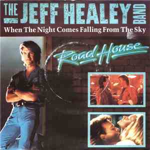 The Jeff Healey Band - When The Night Comes Falling From The Sky download flac mp3