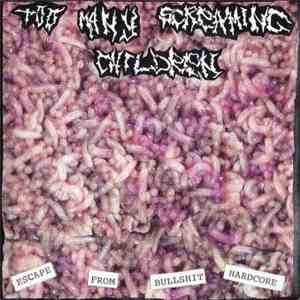 Too Many Screaming Children - Escape From Bullshit Hardcore flac mp3 download
