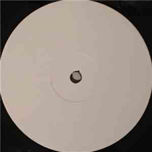 YoJo Working - I Believed In You download flac mp3