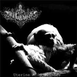 Brulvahnatu - Uterine Acid Swishes download flac mp3