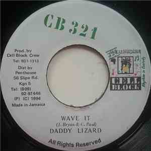 Daddy Lizard / Fargo Voice - Wave It / Past Interview download flac mp3