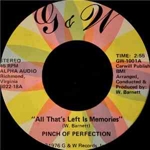 Pinch Of Perfection - All That's Left Is Memories / Loving Alone download flac mp3