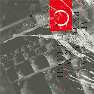 Sindre Bjerga & Micromelancolié - After Dark Days Black Will Come download flac mp3
