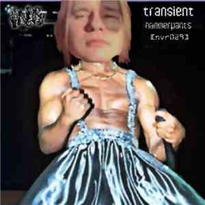 Transient - Hammerpants download flac mp3