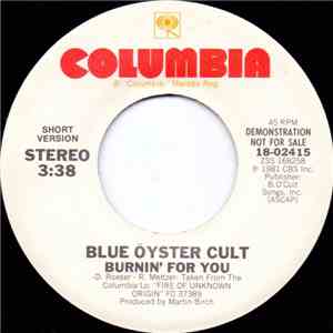 Blue Öyster Cult - Burnin' For You download flac mp3
