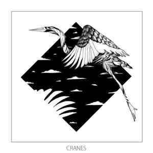 Monkey Safari - Cranes download flac mp3